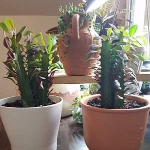 Women's, Men's, Children's